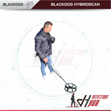 Détecteur de métaux Blackdog Hybridscan