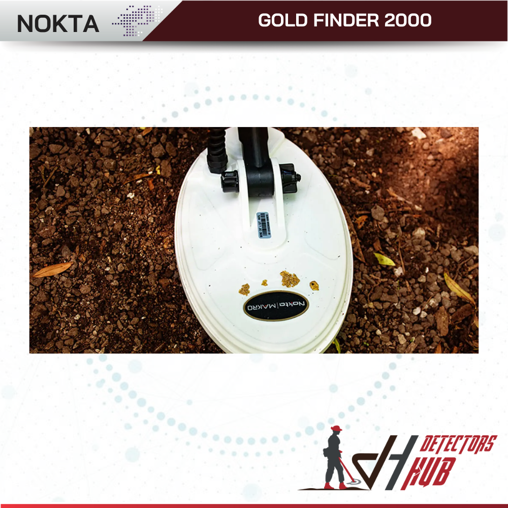 Buscador de oro Nokta Makro 2000